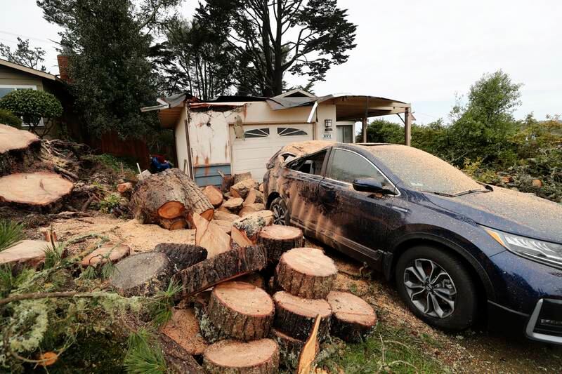 A home and car are damaged after a pine tree toppled in San Bruno. EPA