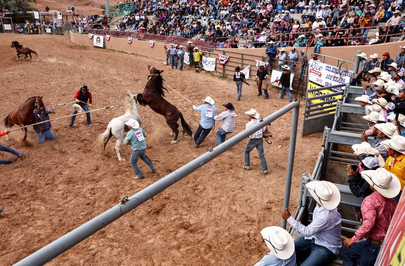 A wild horse race takes place at the Gallup Inter-Tribal Indian Ceremonial Association Rodeo at Red Rock Park near Gallup, New Mexico.  Getty Images / AFP
