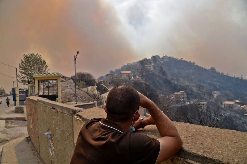 A man looks on as smoke rises from a wildfire in the forested hills of the Kabylie region.