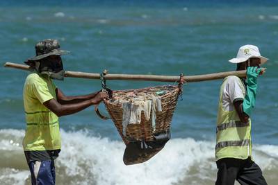 Municipal workers take part in a beach clean-up on the United Nations' World Environment Day at Mount Lavinia on the outskirts of Colombo. AFP