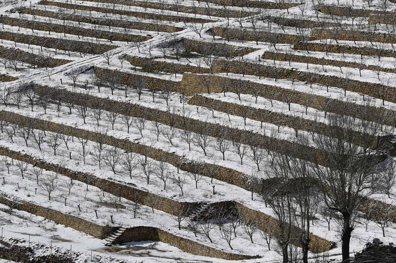 Fields covered with snow in the region of Dahr al-Baidar, east of Beirut. Joseph Eid / AFP