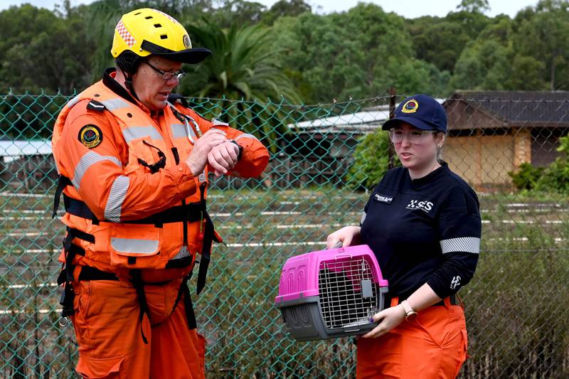 Volunteers from the State Emergency Service (SES) rescue a cat from a flooded farm house in western Sydney, as the area faces its worst flooding after record rainfall caused its largest dam to overflow.  AFP
