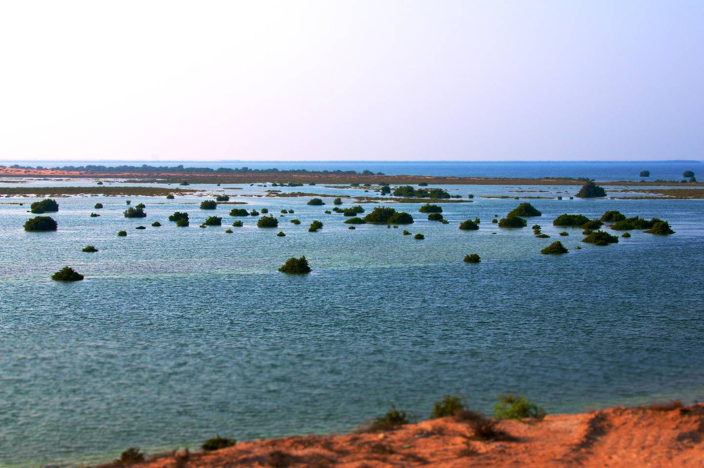 The coast of Umm Al Quwain.