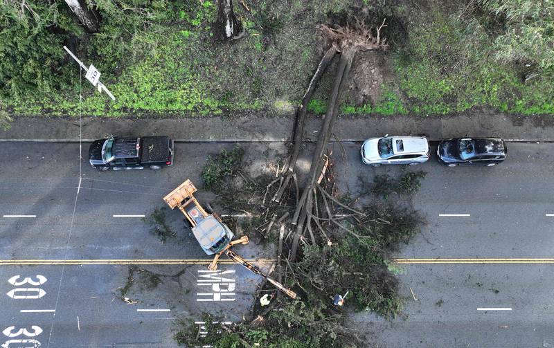 The San Francisco Department of Public Works removes a tree that fell on Fulton Street after a storm passed through the area. Getty / AFP