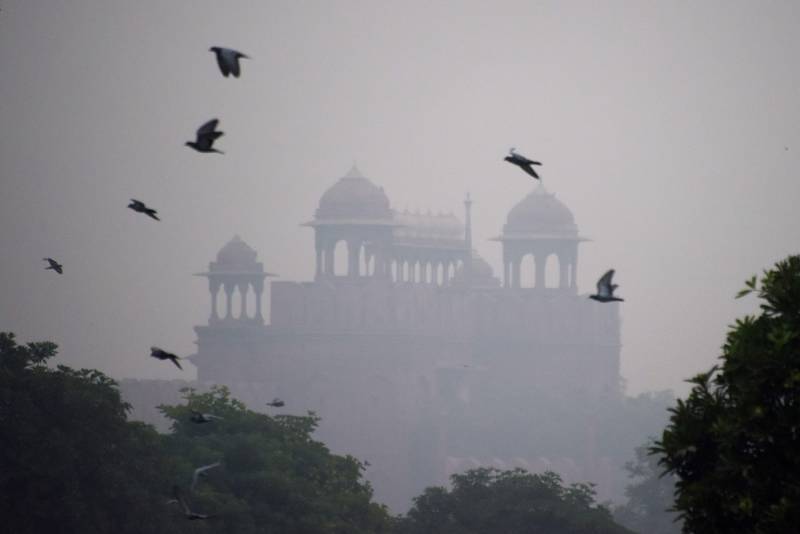 Birds fly past the Red Fort as smog envelop the old quarters of New Delhi on November 6, 2017. / AFP PHOTO / DOMINIQUE FAGET
