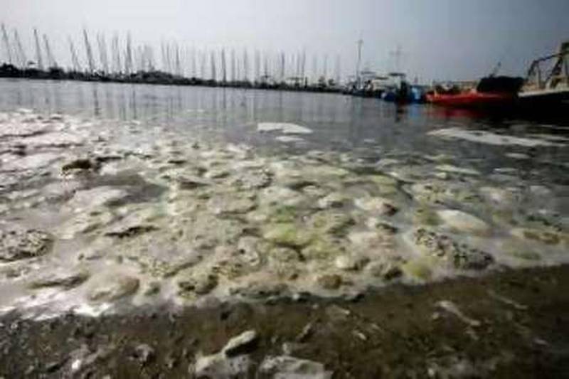 DUBAI-SEPTEMBER 13,2008 - Oil spill pollute the water of Dubai Offshore Sailing Club in Jumeira beach road ,Dubai. ( Paulo Vecina/The National ) *** Local Caption ***  PV Oil 13.JPG