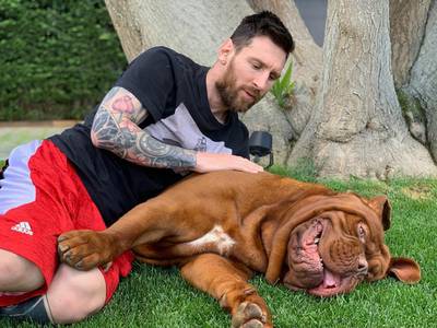 Lionel Messi's pet Hulk is simply adorable