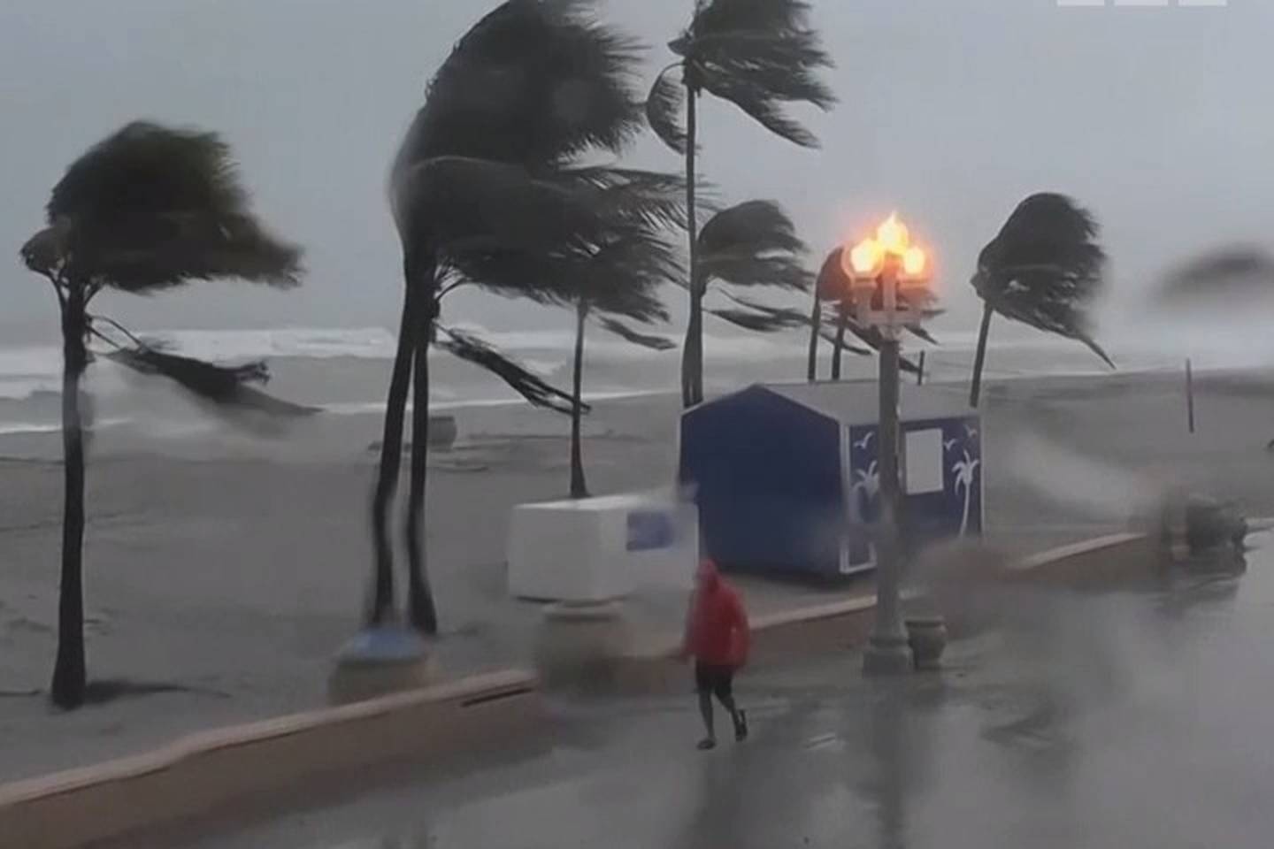Florida braces for tropical storm Eta amid severe wind and rain