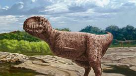 Carnivorous dinosaur similar to T-Rex discovered in Egypt's Western Desert