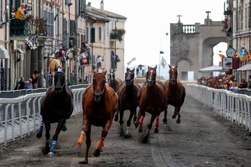 Riderless horses in the traditional Palio di San Bartolomeo race along the renaissance streets of Ronciglione, Italy. Reuters