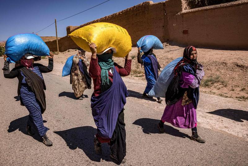 Workers carry sacks of roses harvested from a field by the city of Kelaat M'Gouna in Morocco's Tinghir province. AFP