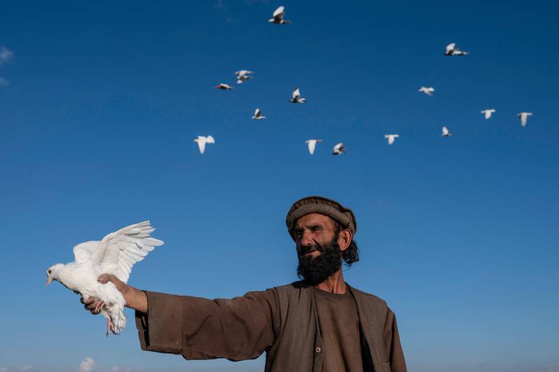 An Afghan pigeon fancier coaxes his pet birds into the air from Kolola Pushta hilltop in Kabul. All photos: AFP