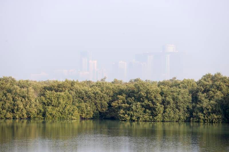 Abu Dhabi's skyline is just visible in the distance. Khushnum Bhandari / The National