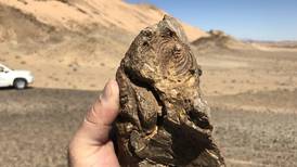 Saudi scientists unearth bones of enormous 80-million-year-old lizard in Red Sea