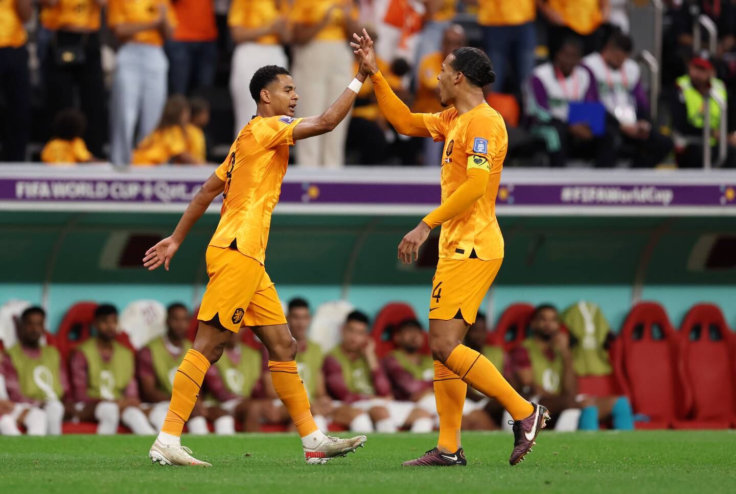 Cody Gakpo and Virgil Van Dijk during the World Cup Qatar 2022 match between Netherlands and Qatar. Getty