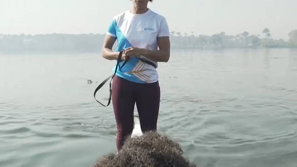 Nile Rowing: A Favorite Post-Lockdown Escape for Cairo’s Residents