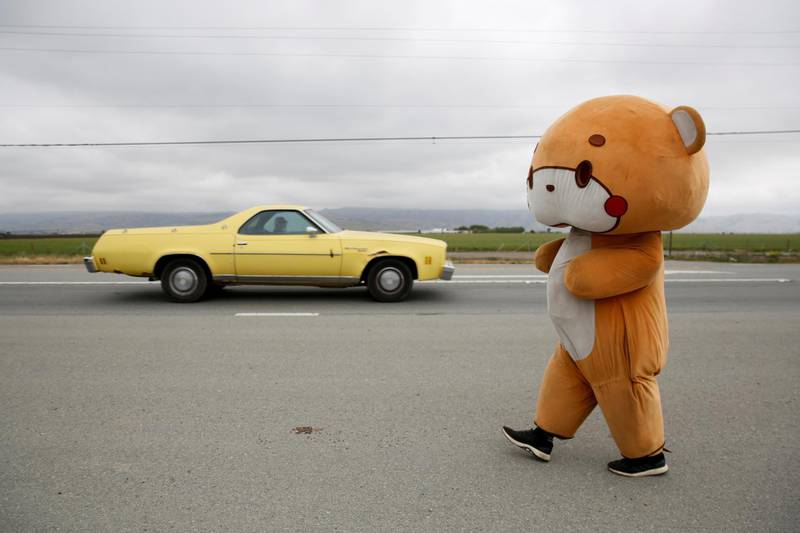 Jesse Larios, 33, from Los Angeles, wears a bear suit while walking along Hollister Road in Gilroy, California, U.S., April 21, 2021. Larios, also known as Bear Sun on social media, is walking from his home in Los Angeles to San Francisco while wearing the bear suit as a social media fundraising event. REUTERS/Brittany Hosea-Small