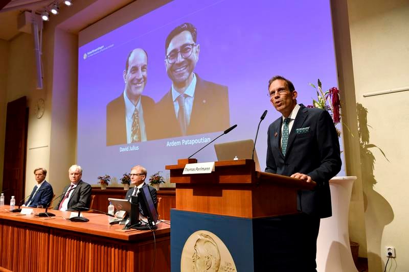 Prof Thomas Perlmann, secretary general for the Nobel Assembly and Nobel Committee, announces the winners of the 2021 Nobel Prize in Physiology or Medicine at the Karolinska Institute in Stockholm, Sweden. Photo: AP