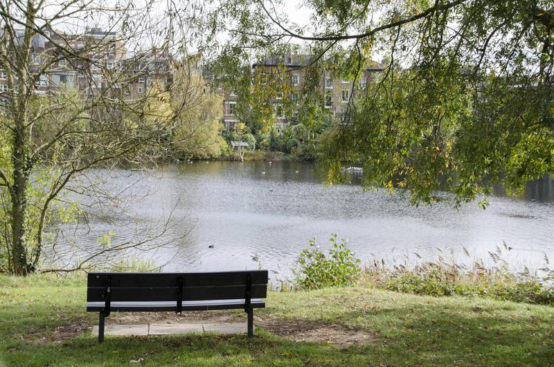 Rear view of an empty park bench, overlooking a pond, with buildings in the background, located in Hampstead Heath, a 790-acre public access park in central London, England. Getty Images
