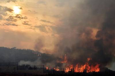 A view of bush fires in Mechref.  EPA