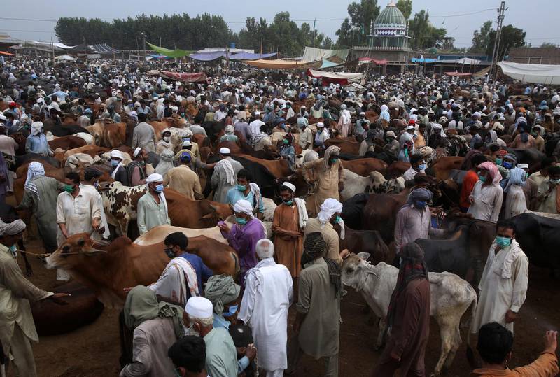 People wearing protective masks visit a cattle market set up for the upcoming Muslim festival Eid al-Adha in Peshawar, Pakistan. AP Photo