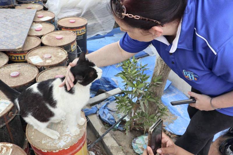 An Animal Action UAE volunteer pets a stray cat after filling a feeding station. Courtesy Animal Action UAE