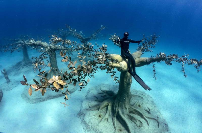 The underwater museum "repositions the visitor as the attraction and sea life as the observer, [and] the sculptural installation will entice visitors under the surface to explore the beauty of the sub-aquatic environment," according to the museum's website