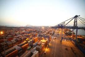 DP World wins bid to develop container terminal at Indian port