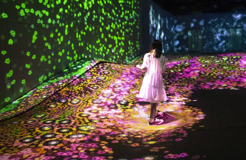 'Soft Terrain and Granular Topography_Spring' by teamLab.