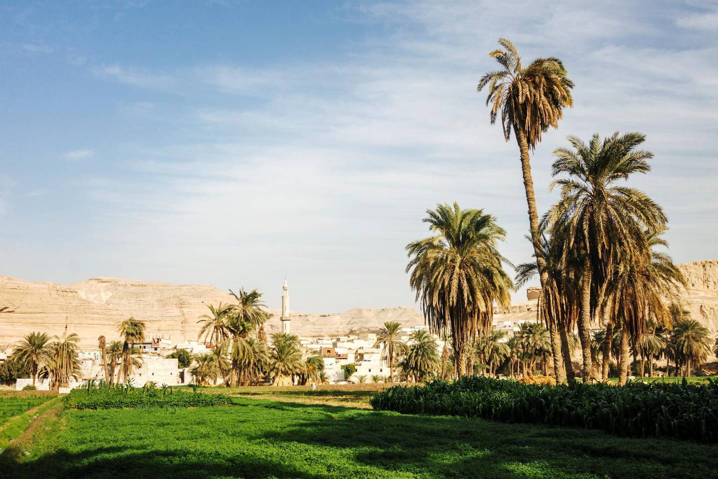 Minya, Egypt - November 3rd, 2011 : Traditional village in a palm grove at the outskirts of Minya