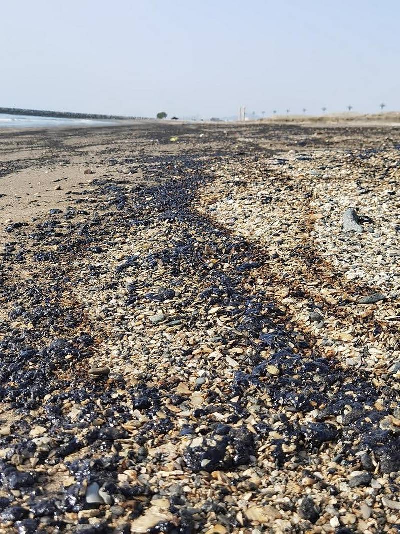 The oil has to be carefully cleaned up to avoid damaging sea life. Courtesy :Oil washes up at Kalba beach in Sharjah on Sunday. The slick stretches across three kilometres of the UAE's east coast. Courtesy: Hisn Kalba Instagram
