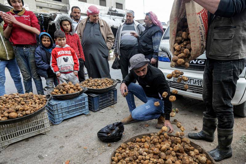 In the 2023 season, more than 130 truffle hunters have been killed, mostly by extremists and mines, according to the Syrian Observatory for Human Rights war monitor