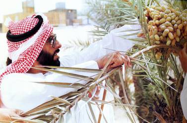 Sheikh Zayed, for whom plants were ‘like children’, was determined to see his land bloom. Courtesy Al Ittihad