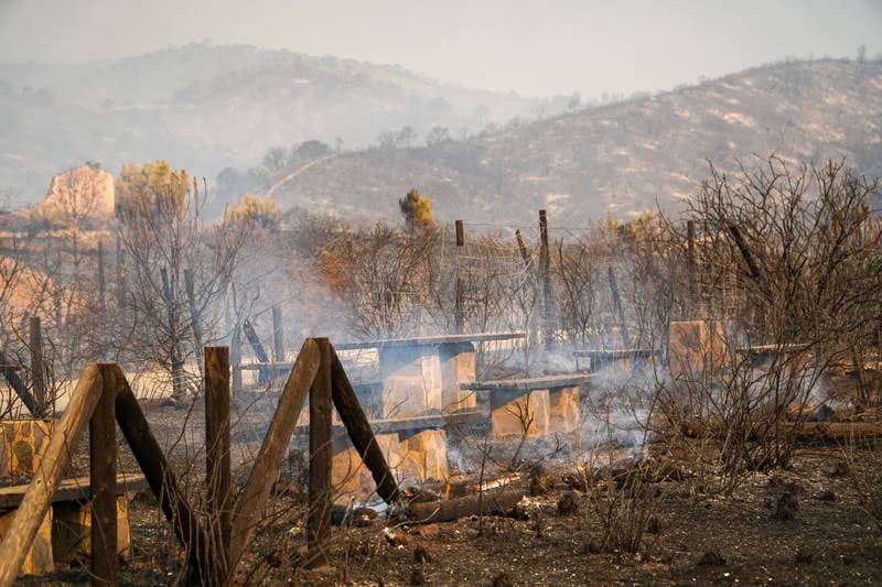 A recreation area devastated by the fire. EPA