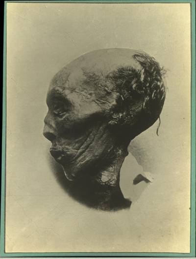 Mummified head of Egyptian Pharaoh Thutmose III, Egypt, 1900(Photo by Mansell/The LIFE Picture Collection via Getty Images)