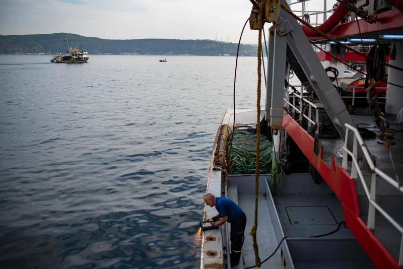 A fishing boat crew member carries out maintenance on the Sea of Marmara. In a few years, hauls have plummeted from 600,000 tonness a year to 328,000 tonnes, say researchers. 