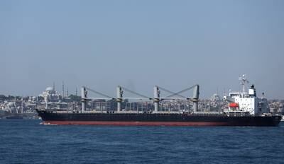 The Liberian-flagged bulk carrier Primus on the Bosphorus in Istanbul. EPA