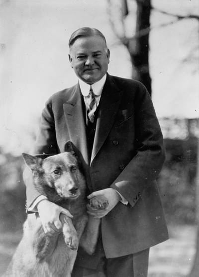 President Herbert Hoover with his pet Belgian shepherd dog King Tut. Hoover was president from 1929 to 1933. Wiki Commons