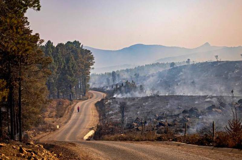 A resident walks along a charred forest area following a wildfire in the region of Chefchaouen in northern Morocco.