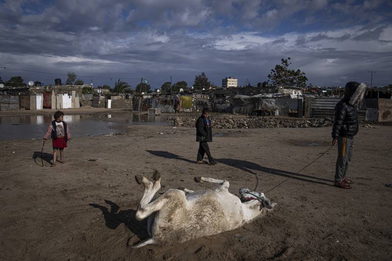 A Palestinian man allows his donkey to warm itself in the sun near Khan Younis refugee camp, Gaza Strip. AP