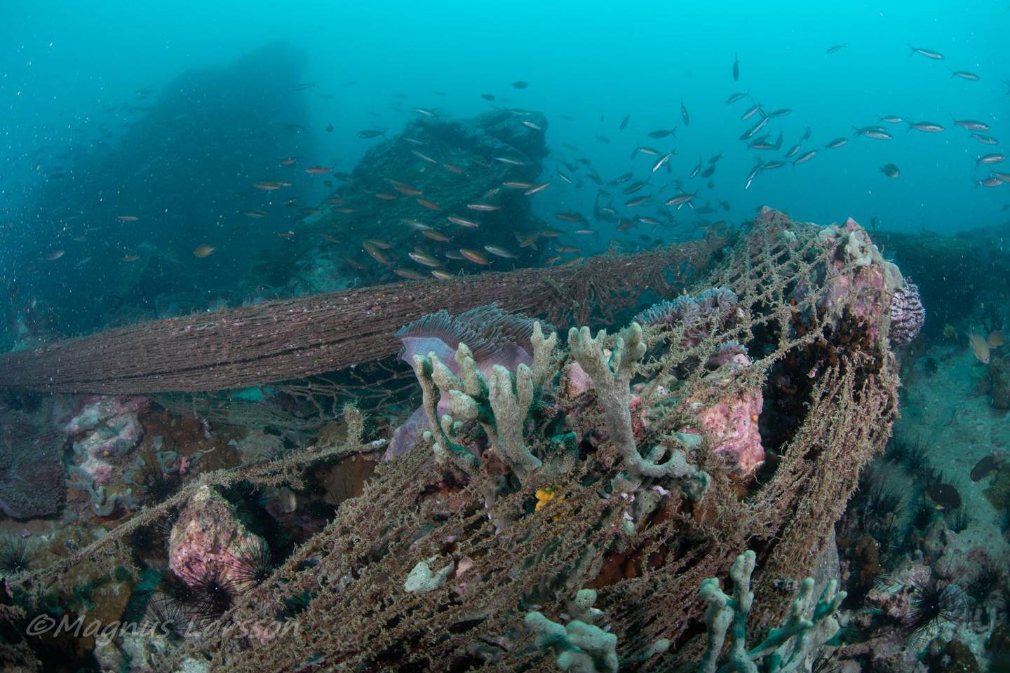 Abandoned fishing gear, known as ghost nets, damage coral reefs and marine life. Courtesy Magnus Larrson