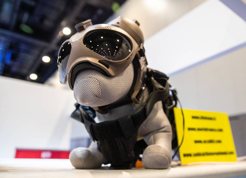 The K9 Vision System, a canine camera device. Victor Besa / The National