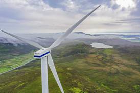 Shell and ScottishPower win bids to develop wind power in the UK