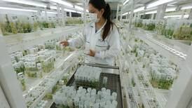 Two UAE universities to set up precision medicine and food security research institutes