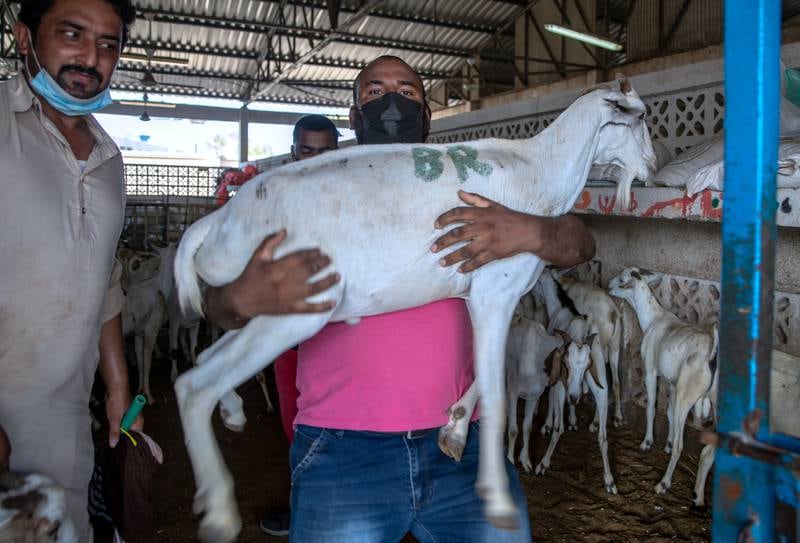 It was a busy day at the Abu Dhabi Livestock Market in the run-up to Eid Al Adha.