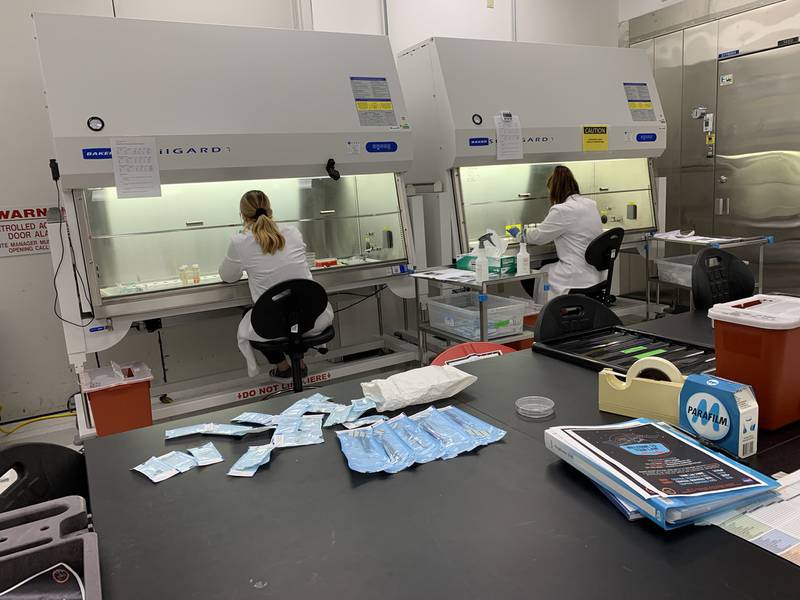 Researchers will study age-related loss of skeletal muscle mass and function by researching the samples in microgravity conditions. Photo: University of Liverpool