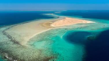 An image that illustrates this article ATM 2022: Saudi Arabia's Red Sea tourism project plans luxury second homes