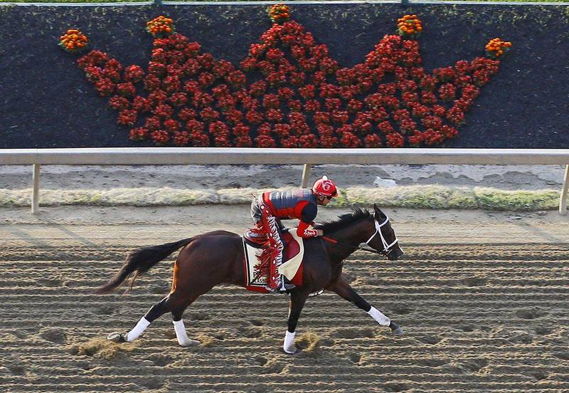 Classic Empire gallops on the track at Pimlico ahead of the Preakness Stakes. Patrick Semansky / AP Photo