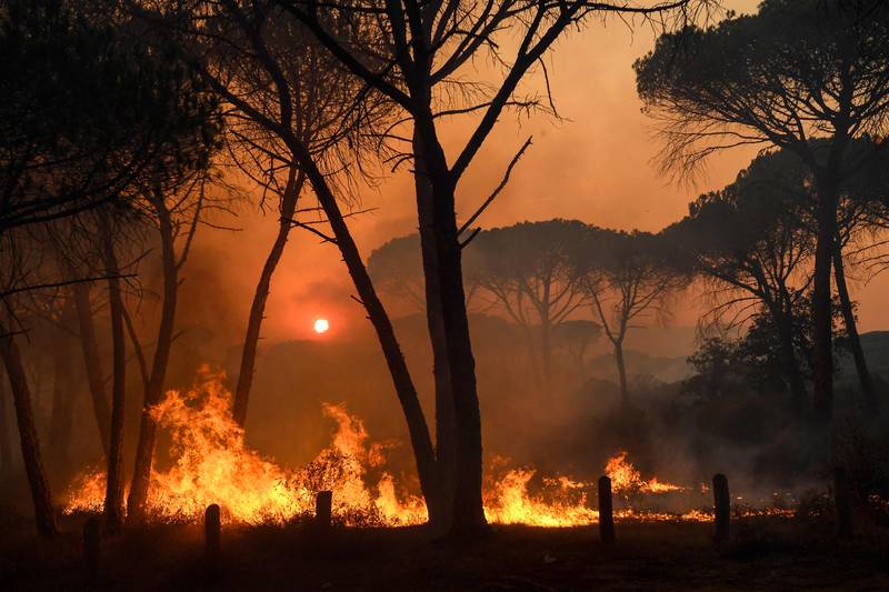 Flames rise as light from the setting sun is filtered through smoke during a forest wildfire, near Gonfaron, southern France, this week.  Thousands of people, including tourists in campsites, have escaped as the wildfire raged near the plush resort of Saint-Tropez.