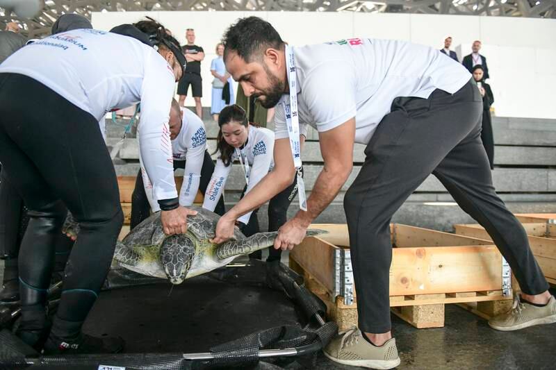 The 10 turtles were transported from The National Aquarium, where they have been undergoing rehabilitation